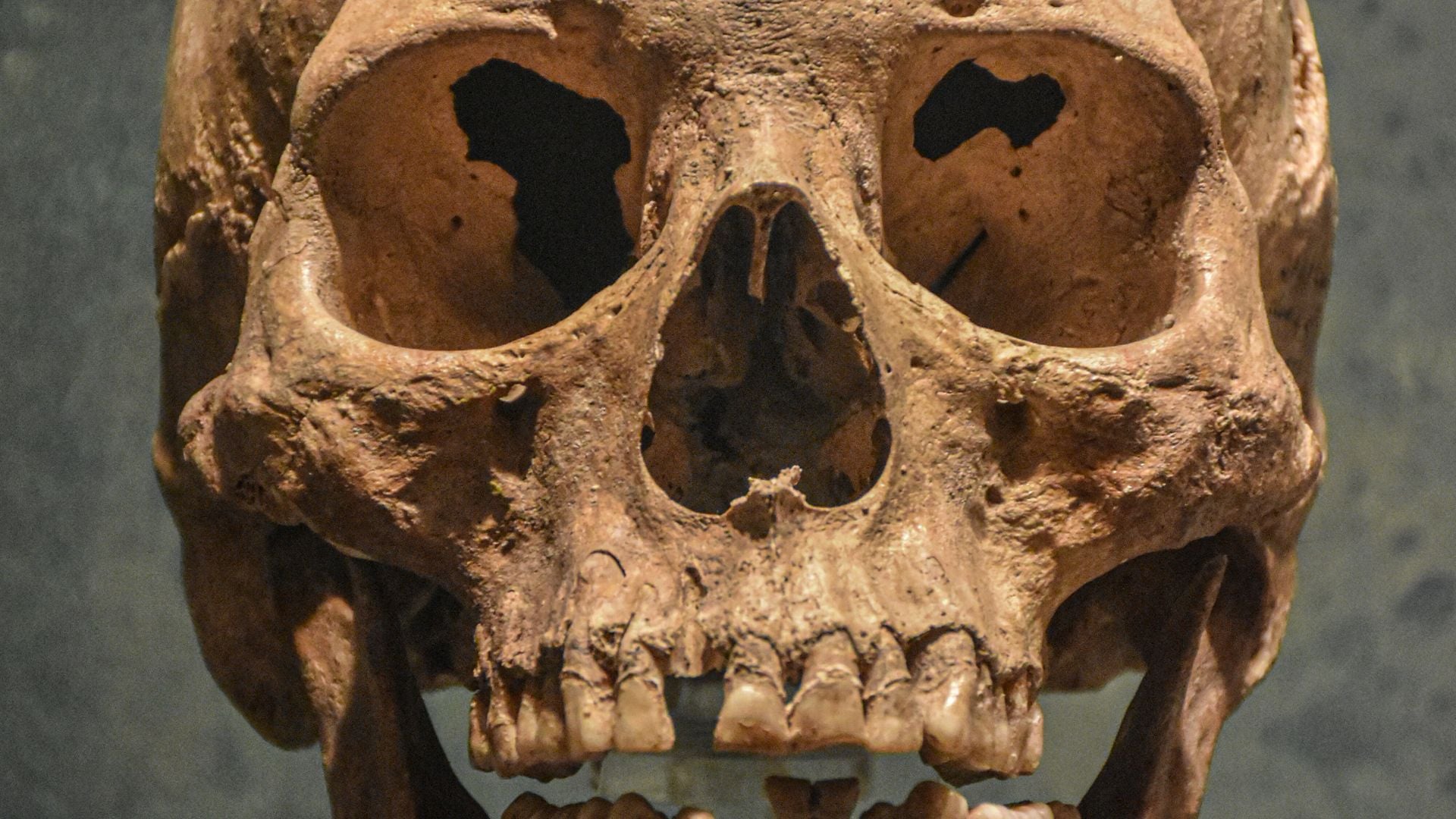 Oxford Human Sciences 面接対策