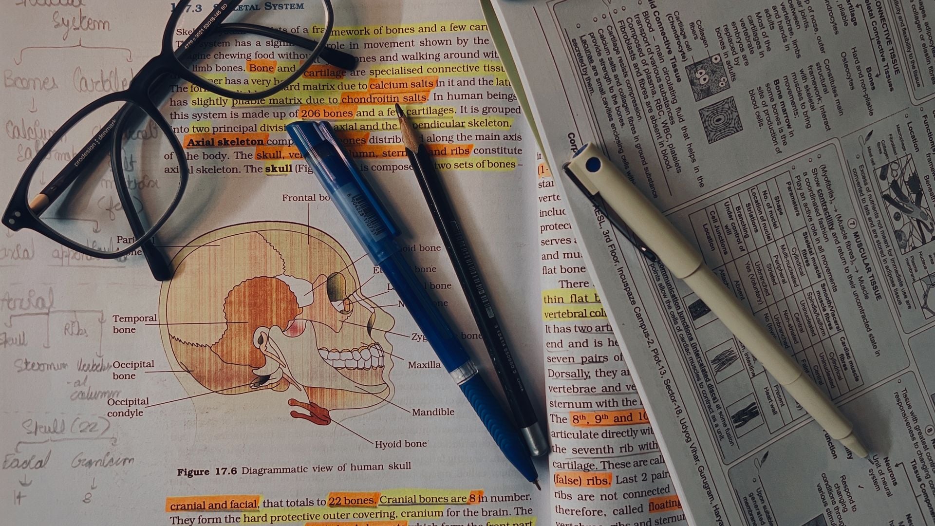 Cambridge Medicine (Graduate Course) 面接対策