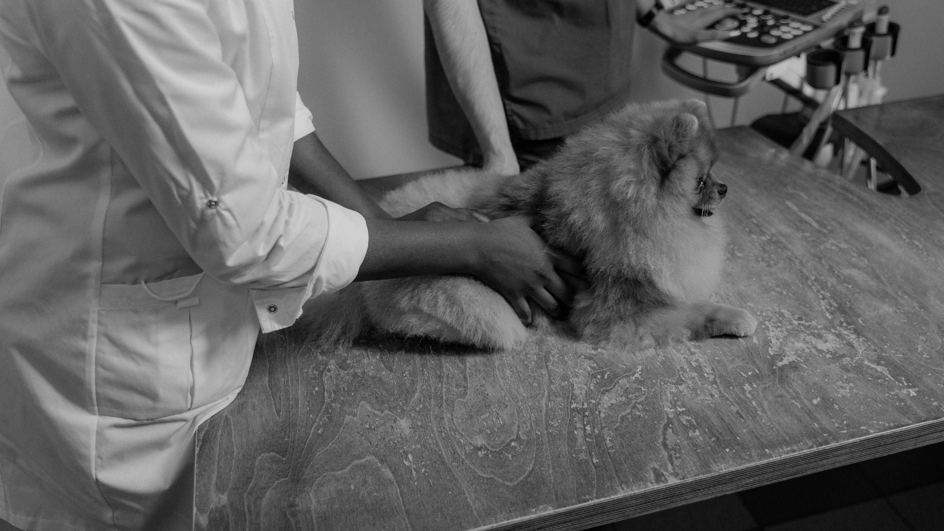 Cambridge Veterinary Medicine 面接対策